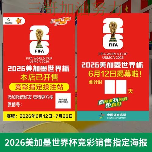 世界杯投注网站大全数据分析告诉你：是否值得用的正确方式（World Cup 2026）